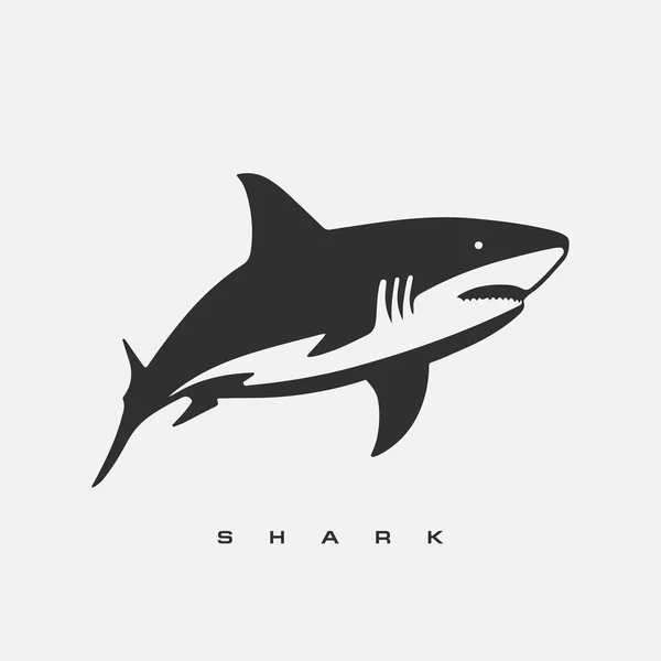 stock vector Modern vector shark logo template