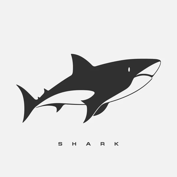 stock vector Modern vector shark logo template