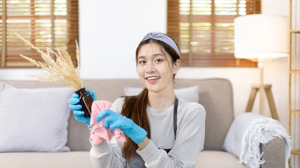 Beautiful housewife is cleaning things and vases in the living room, Big cleaning, Housework, Daily routine ,Removes germs and dirt and deep stains, Spray alcohol, Clean up on weekends.