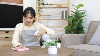 Ev hanımı temizlik yapar ya da evdeki yemek masasını temizler oturma odasını temizler, büyük temizlik yapar, ev işi, günlük rutin işler mikropları, kirleri ve derin lekeleri temizler, sprey alkolü sıkar, temizlik yapar..