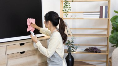 Ev hanımı bir şeyleri temizliyor ve depolama dolabı ya da oturma odasında vitrin, büyük temizlik, ev işi, günlük rutin, mikropları ve kirleri temizliyor ve derin lekeleri, sprey alkolü, hafta sonları temizlik yapıyor..