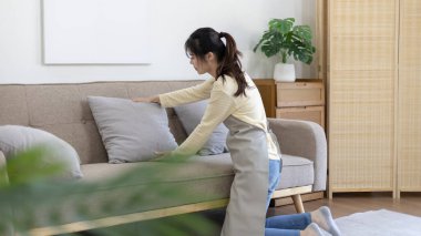 Beautiful housewife is cleaning and dusting the sofa in her living room, Big cleaning in the house, Removes germs and dirt and deep stains, Housewife cleaning, Keeping her home clean, Domestic hygiene