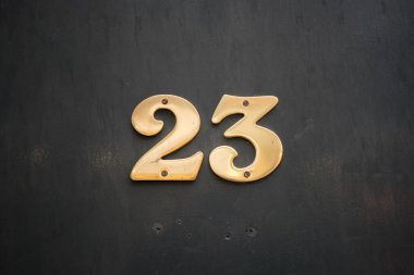 Altın görünümlü pirinç ev numarası 23 (23))