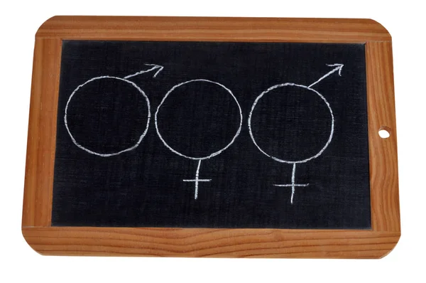 stock image Sexual identity concept with various symbols drawn on a school slate 