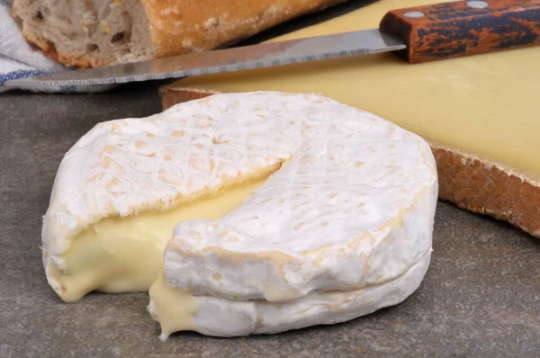 乳脂山羊奶酪与一块博福特奶酪和一把小刀特写 — 图库照片