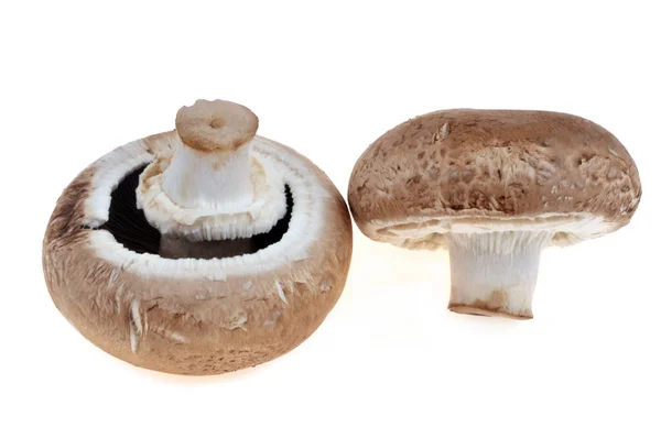 Cogumelos Portobello Perto Fundo Branco — Fotografia de Stock