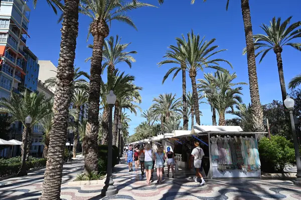 Les Ramblas Alicante Avec Ses Palmiers — Photo