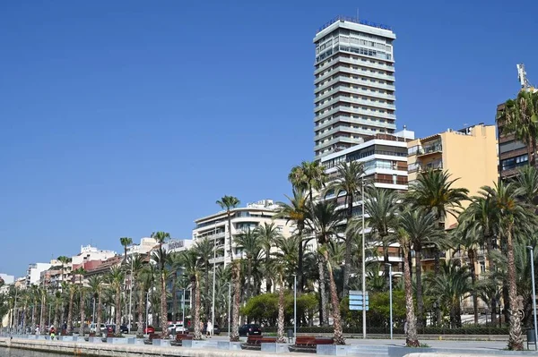 Alicante Cityscape Palm Trees — Stock Photo, Image