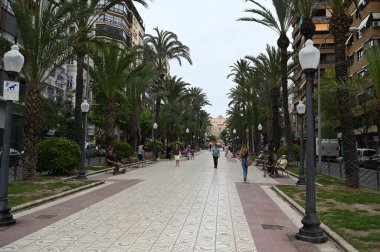 Alicante 'nin Federico Soto güvertesi palmiye ağaçlarıyla kaplı.