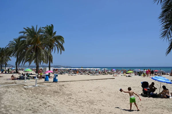 Alicante Postiguet Playa Con Turistas Palmeras — Foto de Stock