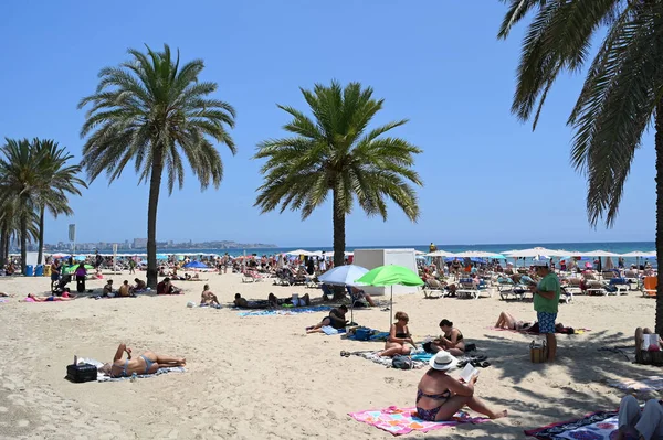 Alicante Postiguet Plage Avec Des Touristes Des Palmiers — Photo