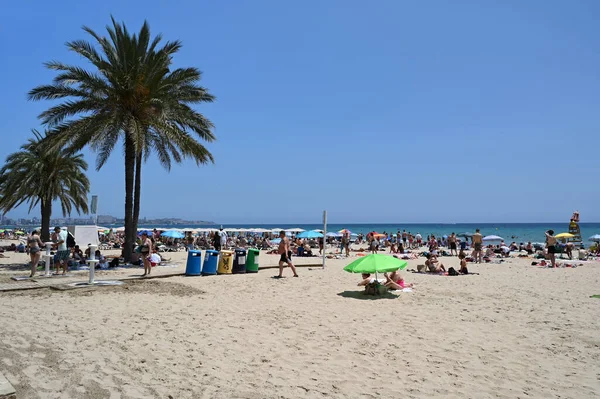 Alicante Postiguet Sahilinde Turistler Palmiye Ağaçları — Stok fotoğraf