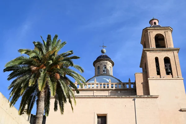 Cathédrale Saint Nicolas Bari Avec Palmier — Photo