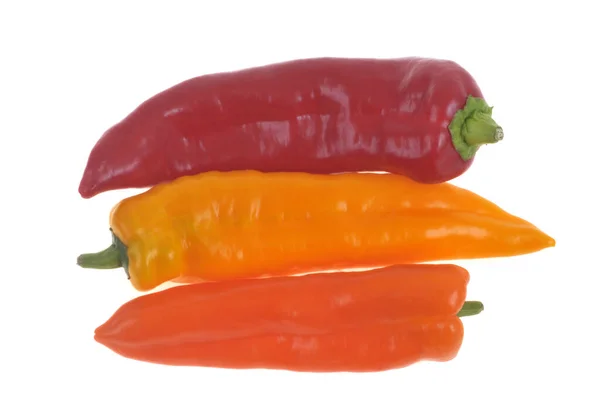 Pointed Peppers Different Colors Close White Background — Stock Photo, Image