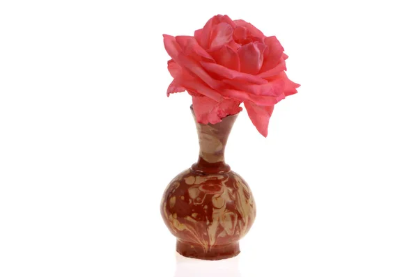 Rose Vase White Background Royalty Free Stock Photos