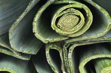 Dilimlenmiş pırasa arka planda yakın plan