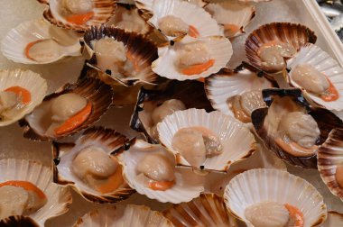 Balıkçı tezgahında taze deniz tarakları açıldı.