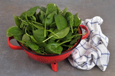 Kırmızı kevgir yapraklı çiğ ıspanak yaprakları ve gri arka planda yakın plan mutfak havlusu. 