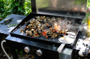 Plancha 'da pişirilmiş çeşitli deniz ürünleri. 