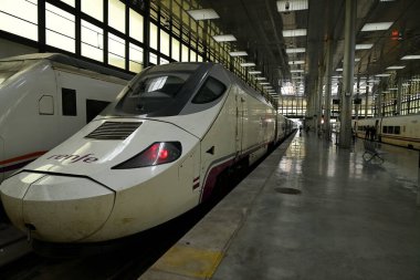 Renfe Cadiz istasyonundaki platformda tren kullanıyor.