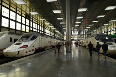 Renfe Cadiz istasyonundaki platformda tren kullanıyor.