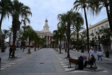 Cadiz 'deki San Juan de Dios Meydanı' nda arka planda belediye binası olan palmiye ağaçları vardı.