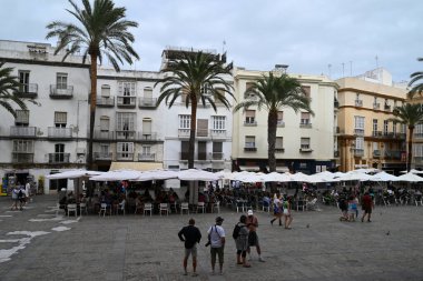 Cadiz Katedrali Meydanı 'nda turist ve palmiye ağaçlarıyla dolu kafe terasları. 