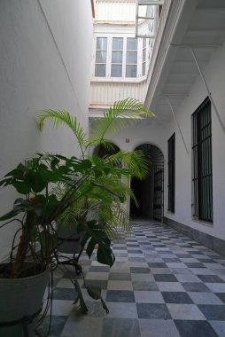 Cadiz şehrinde yeşil bitkileri olan bir binanın avlusu.