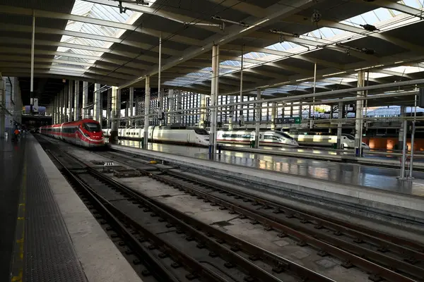 Madrid Atocha İstasyonu peronunda trenler