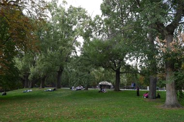 İnsanlar Retiro Park 'ta çimlerde dinleniyor.