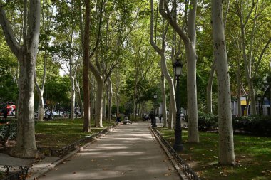 Madrid Prado Parkı 'nın Wooded Bulvarı