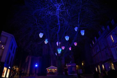Vannes şehrindeki Noel kutlamaları vesilesiyle bir ağaca konmuş parlak fenerler.