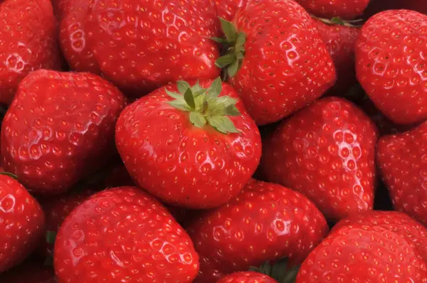 Arka planda olgun Fransız gariguette çilekleri var.