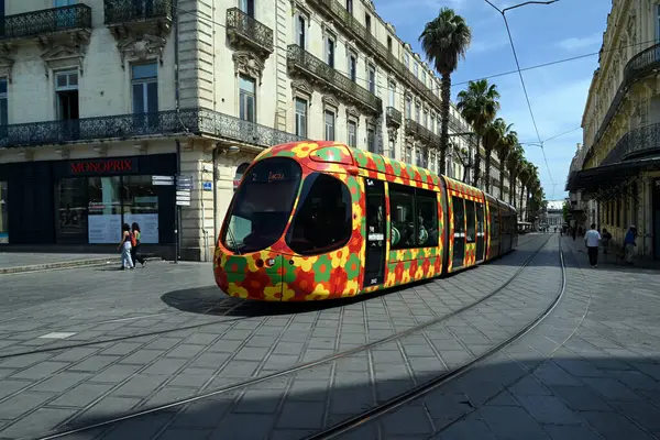 Maguelone caddesinde Montpellier toplu taşıma tramvayı
