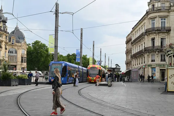 Montpellier toplu taşıma tramvayı Comedie Square istasyonunda durdu