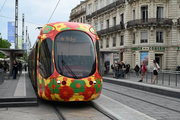 Montpellier toplu taşıma tramvayı Comedie Square istasyonunda duruyor