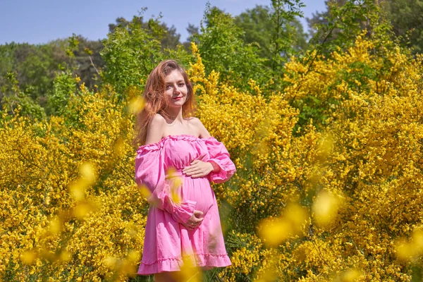 Sarı Çiçek Tarlasında Mutlu Hamile Bir Kadın Hamilelik Annelik Hazırlık — Stok fotoğraf