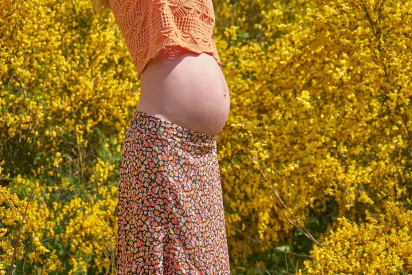 Karnına Dokunan Sağlığını Önemseyen Hamile Bir Kadının Yakın Çekimi Hamilelik — Stok fotoğraf