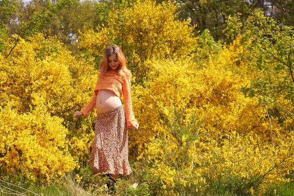 Hamile Bir Kadın Karnına Dokunuyor Ona Bakıyor Sağlığını Önemsiyor Hamilelik — Stok fotoğraf