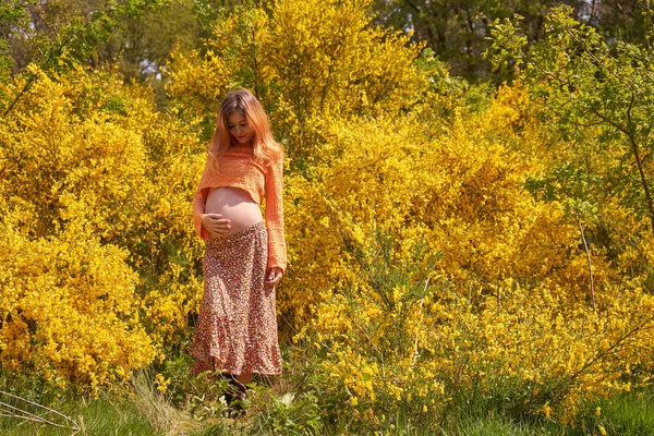 Ung Gravid Kvinna Vidrör Och Tittar Sin Mage Och Bryr — Stockfoto