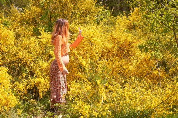Retrato Mulher Grávida Caucasiana Parque Arbusto Florescente Cheiro Flores Amarelas — Fotografia de Stock