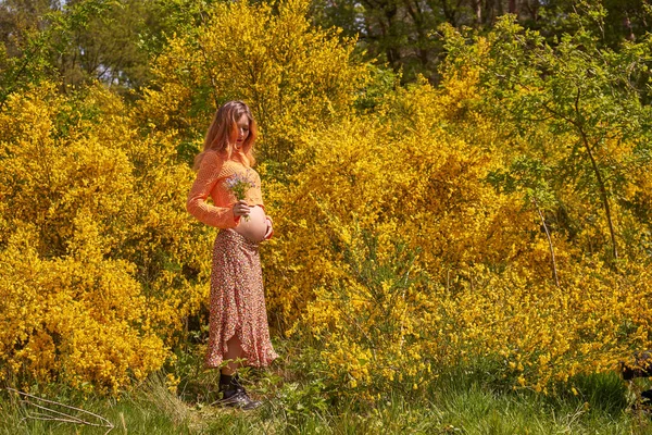 Genç Hamile Bir Kadın Karnına Dokunuyor Ona Bakıyor Sağlığını Önemsiyor — Stok fotoğraf