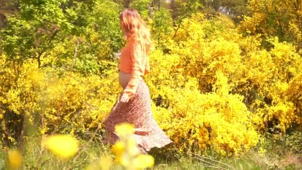 Kaukázusi Terhes Portréja Áll Parkban Egy Virágzó Bokorban Sárga Virágok — Stock videók