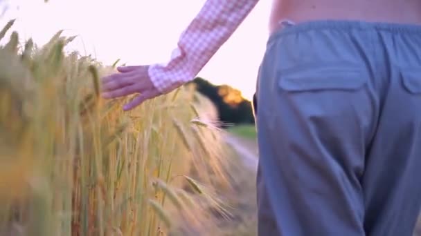 Schwangere Hört Sommertag Einem Schattigen Park Über Kopfhörer Musik Von — Stockvideo