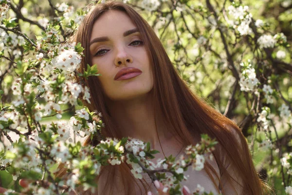 Portret Pięknej Dziewczyny Pozowanie Ogrodzie Kwiat Wiśni — Zdjęcie stockowe
