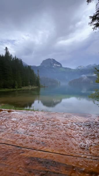 モンテネグロの針の葉の木や山を反映した青い湖の眺め — ストック動画