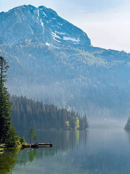 Widok Błękitne Jezioro Odbiciem Drzew Iglastych Gór Czarnogórze — Zdjęcie stockowe