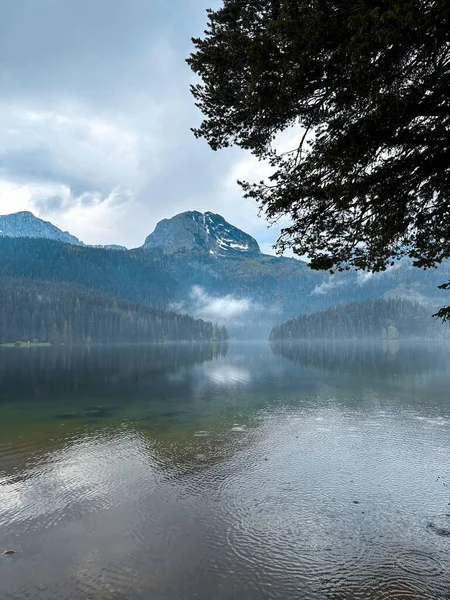 Vue Lac Bleu Avec Reflet Des Feuilles Aiguilles Des Montagnes — Photo