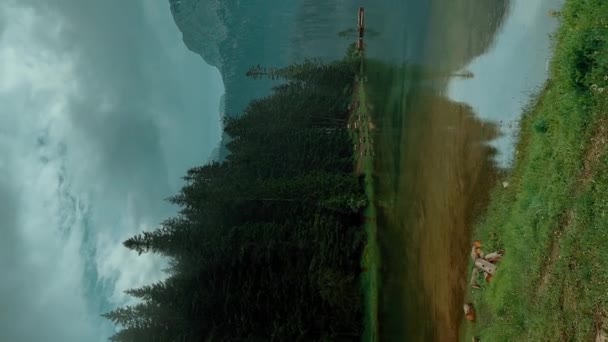 Вид Блакитне Озеро Відображенням Голчастих Листяних Дерев Гір Чорногорії — стокове відео