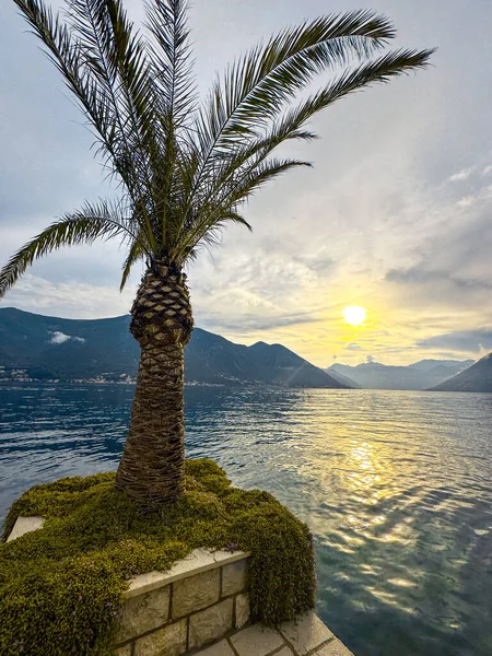 Bellissimi Paesaggi Del Montenegro Europa — Foto Stock